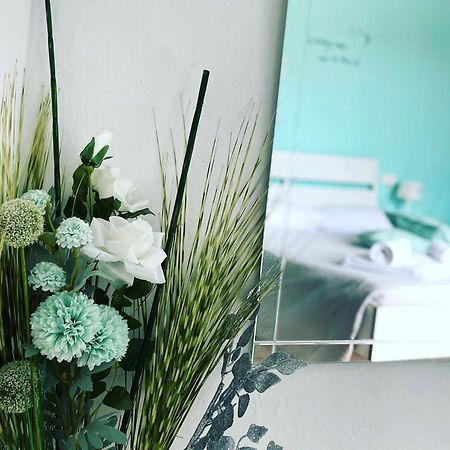 Il Nido Di Tiffany Apartment Massino Visconti ภายนอก รูปภาพ